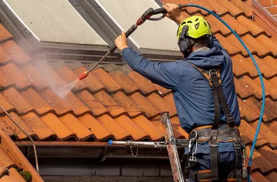 Démoussage et hydrofuge de toiture à Thélod